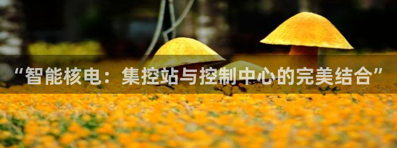 新宝gg待遇