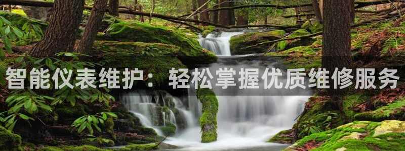 新宝gg直