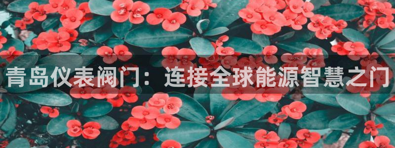 新宝gg   创造奇迹