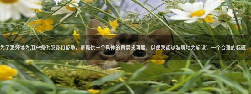 收新宝gg