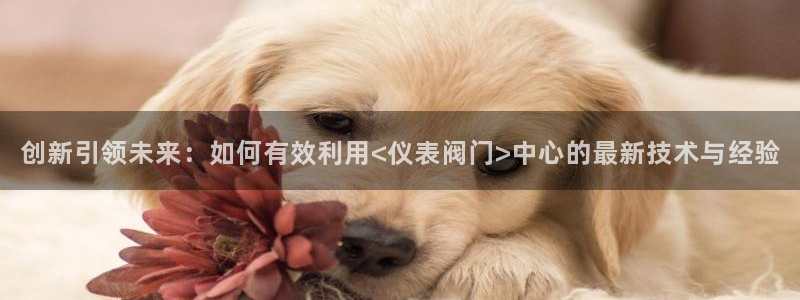 娱乐新宝GG