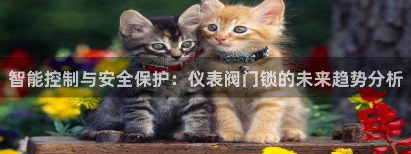 新宝gg奖金