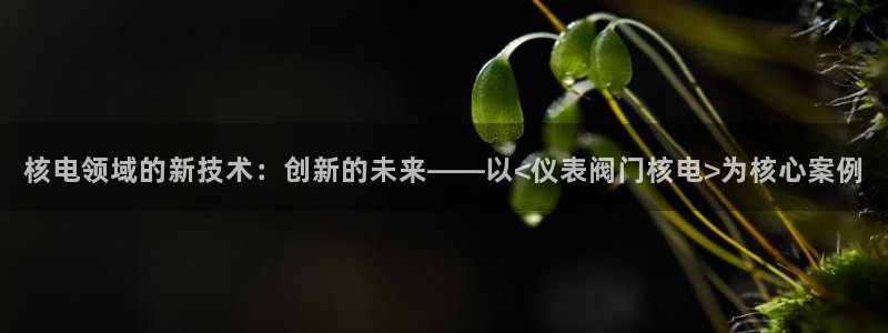 新宝gg总管