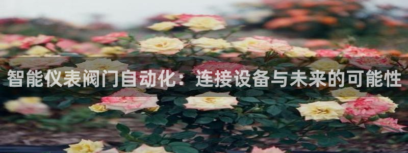 创造奇迹新宝gg