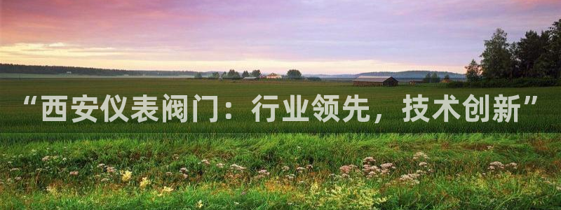 新宝gg登录线路测试