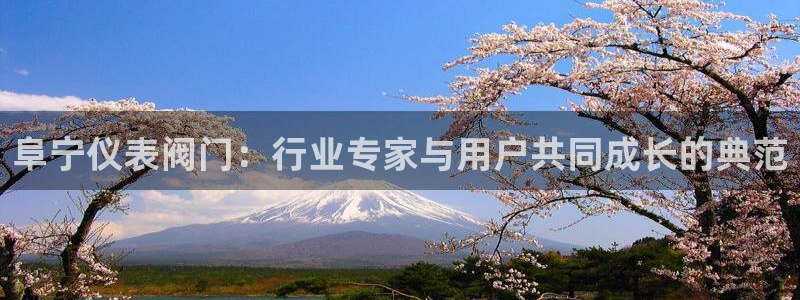 【新宝gg】