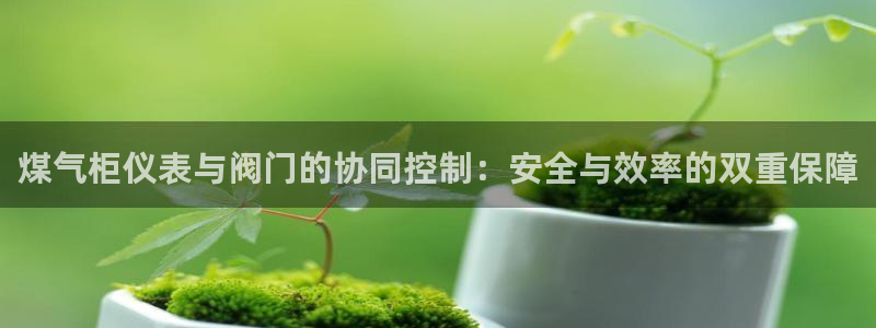 新宝gg在哪开户