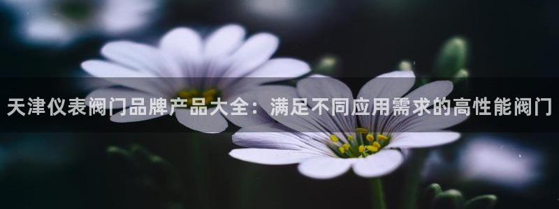新宝gg工资