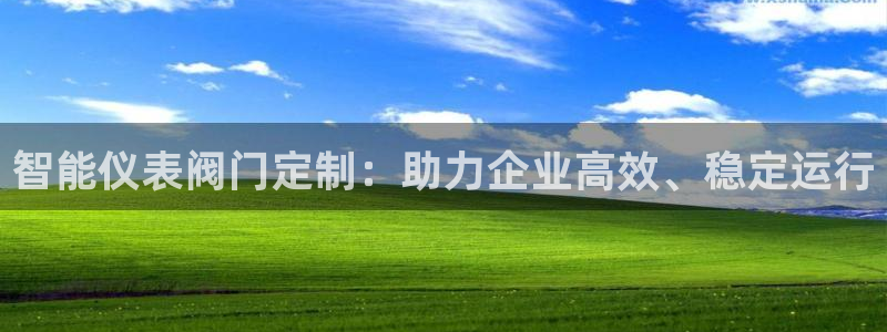 新宝gg域