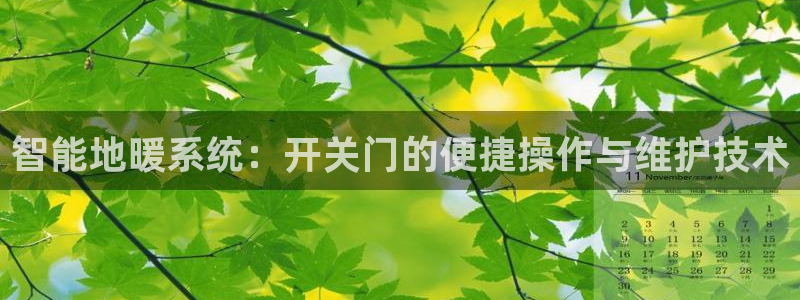 新宝gg代理注册