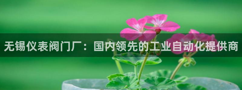 网站新宝GG