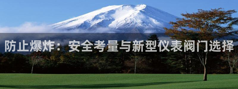 新宝gg.