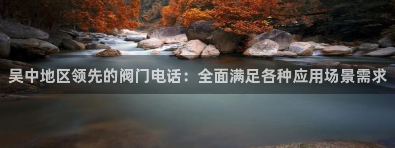 网站是新宝gg