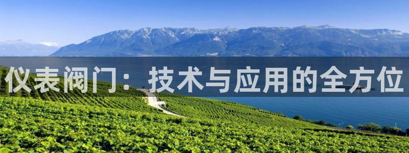 新宝gg会员登录