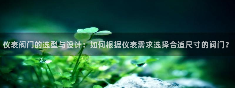 【新宝gg】