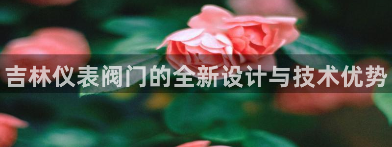 新宝gg   创造奇迹