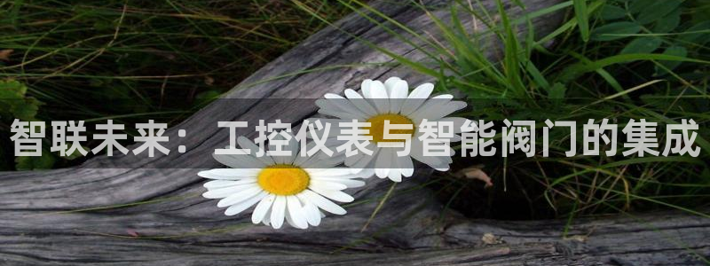 新宝gg挂机软件下载