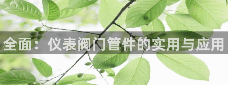 新宝gg主管 9