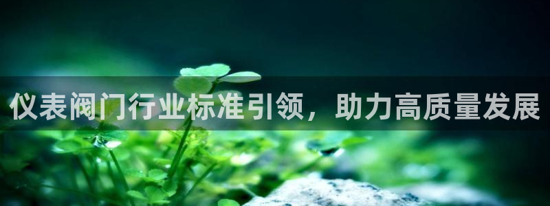 新宝gg怎么开户