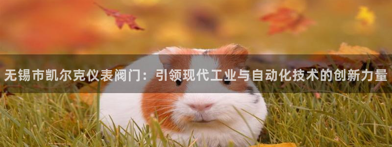 新宝gg玩
