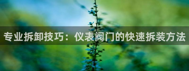新宝gg娱乐盟主