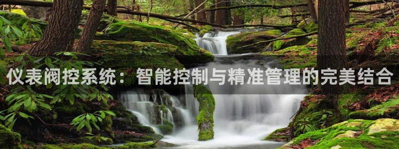 新宝gg指定平台