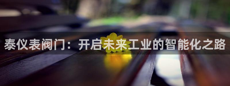 创造奇迹 新宝gg