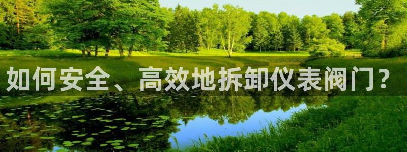 新宝gg娱乐盟主