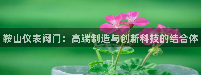 新宝gg入口网址