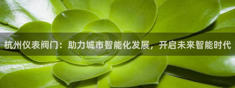 新宝gg入口网址
