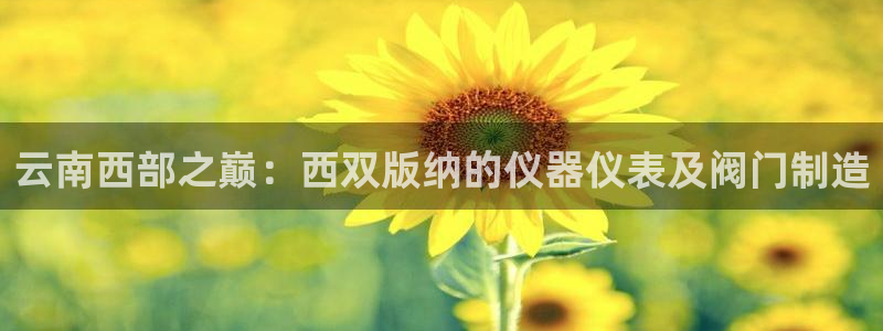 娱乐世界新宝gg