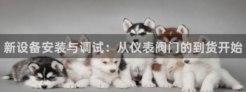 新宝gg6娱乐注册网址