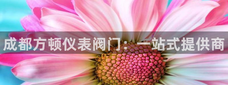 新宝gg会员登录