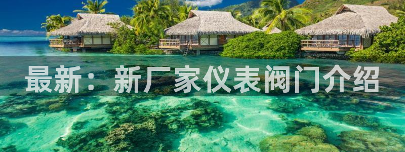 新宝gg客户端下载