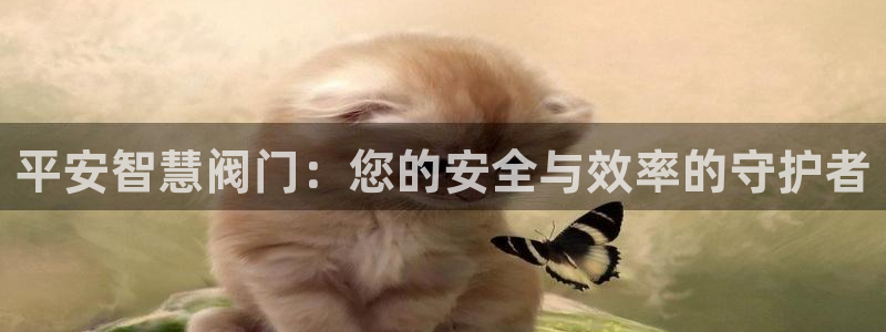 新宝gg手机版下载