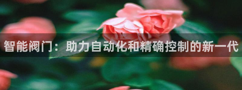 新宝gg找回账号