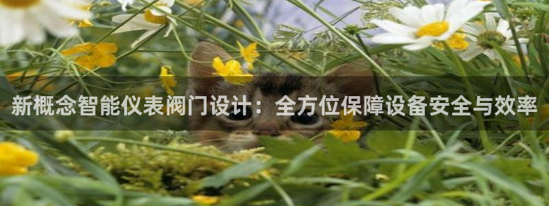 新宝gg游戏登录