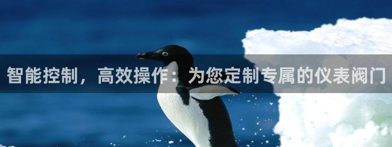 新宝gg主管都是谁