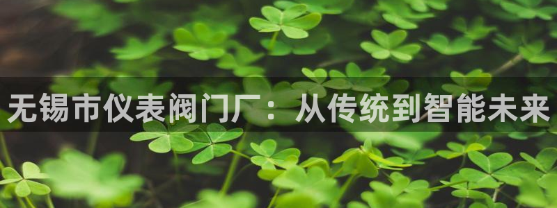 新宝gg龙虎规则