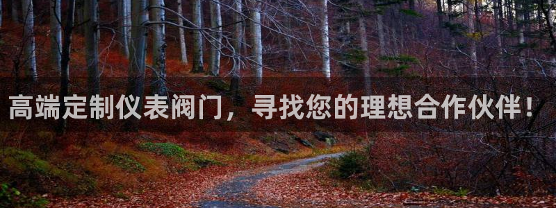 新宝gg娱乐上皇巢网