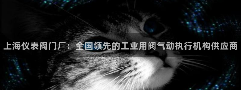 新宝gg平台连接