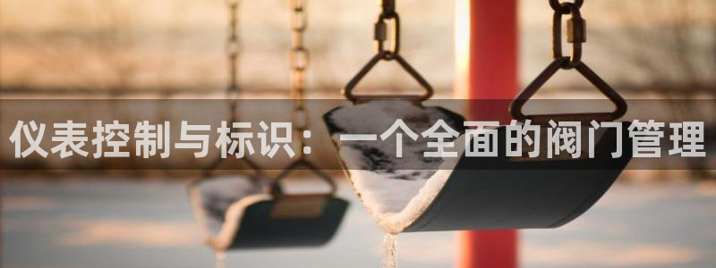 新宝gg软件下载