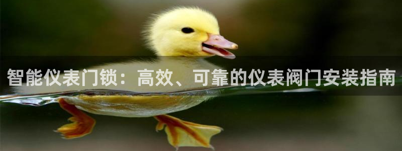 新宝gg-创业奇迹