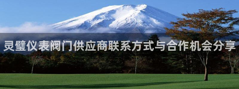 新宝gg dengludizhi