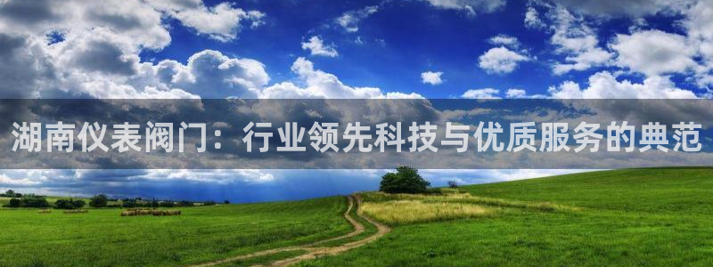 新宝 gg 登录注册