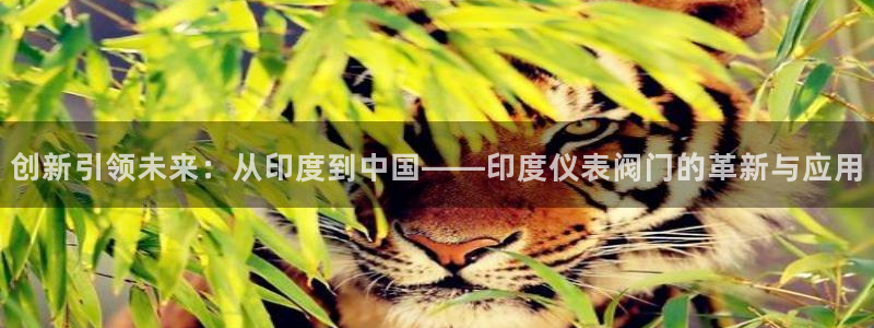 新宝gg   创造奇迹