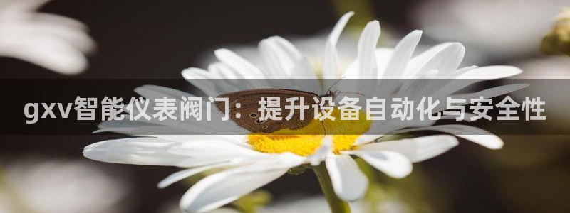 新宝GG手机客户端