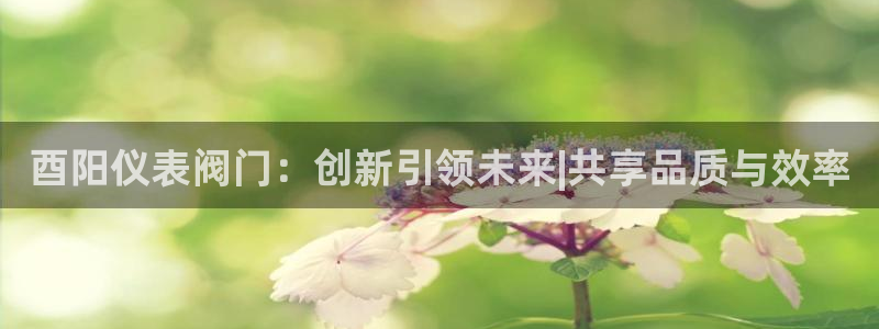 gg新宝时时彩