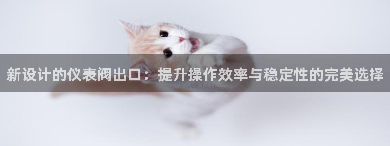 新宝GG勒55312