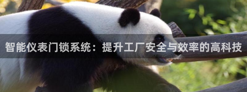 新宝gg主管_